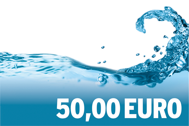 50,00 EURO